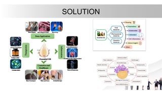 SOLUTION
 