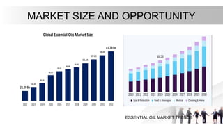 MARKET SIZE AND OPPORTUNITY
ESSENTIAL OIL MARKET TRENDS
 