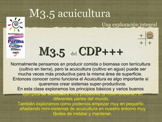 M3.5  CDP+++ ,[object Object],[object Object],[object Object],[object Object],del  Una exploración integral M3.5  acuicultura PDC + + + 