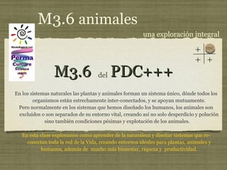 M3.6  PDC+++ ,[object Object],[object Object],[object Object],del M3.6  animales una exploración integral PDC + + + 