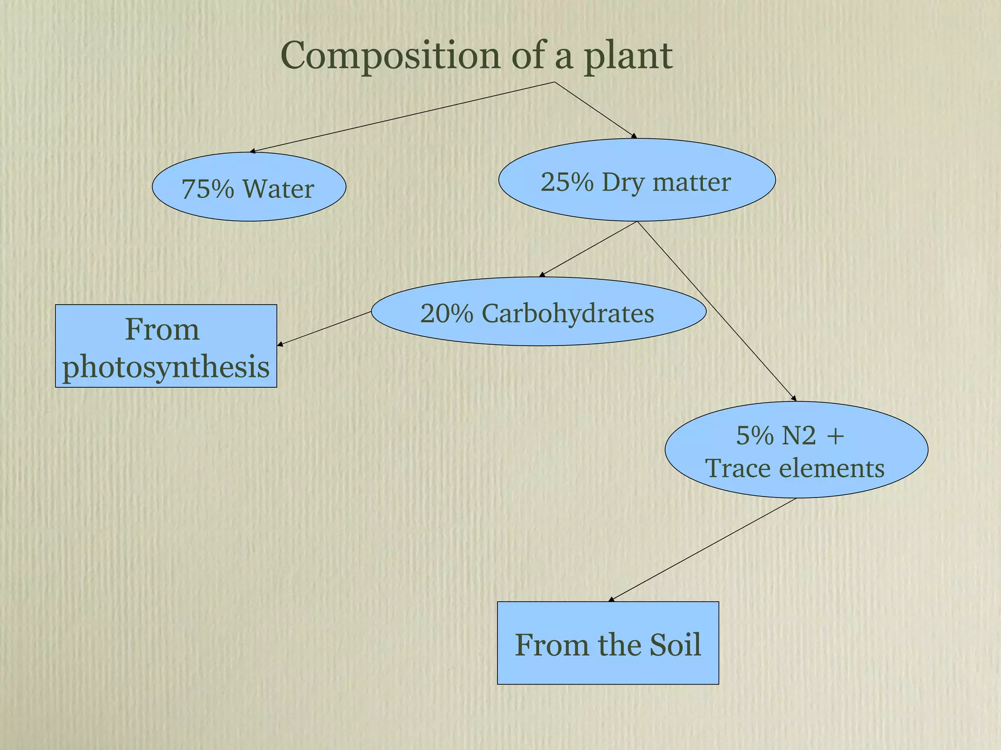 Composition of a plant 75% Water 25% Dry matter 20% Carbohydrates 5% N2 +  Trace elements From the Soil From  photosynthesis 