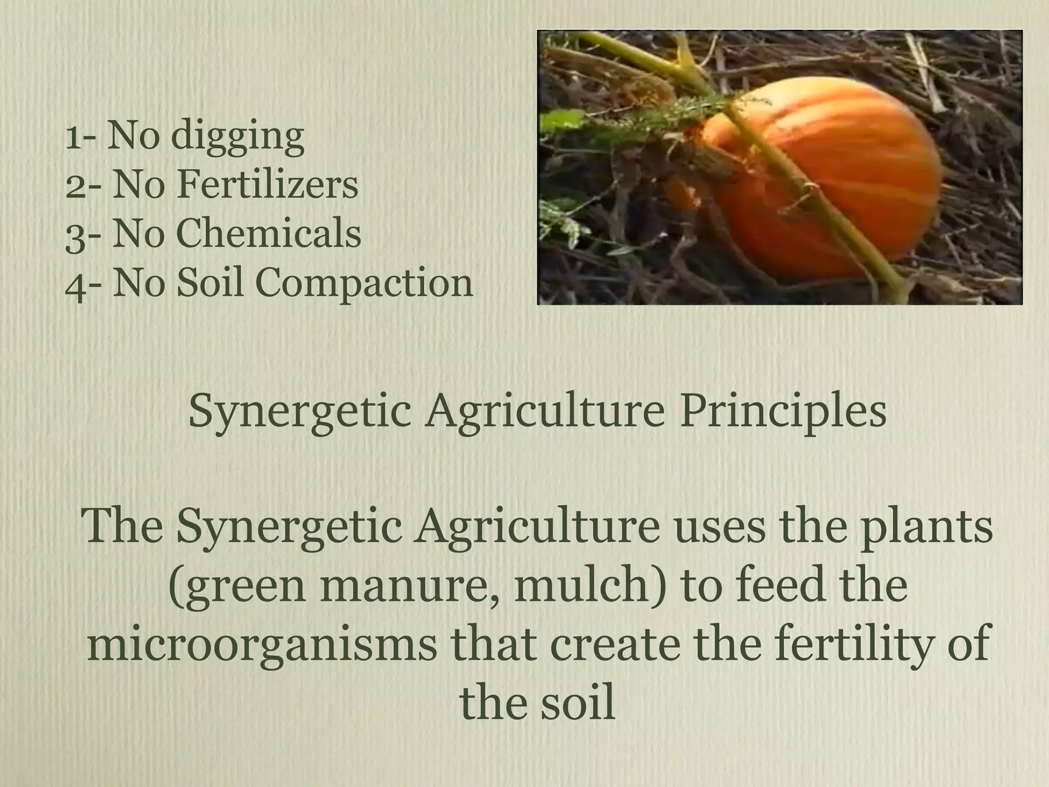 1- No digging 2- No Fertilizers 3- No Chemicals 4- No Soil Compaction The Synergetic Agriculture uses the plants (green manure, mulch) to feed the microorganisms that create the fertility of the soil Synergetic Agriculture Principles 