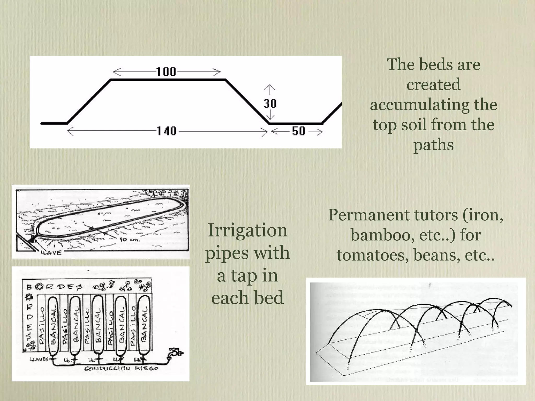 The beds are created accumulating the top soil from the paths Permanent tutors (iron, bamboo, etc..) for tomatoes, beans, etc.. Irrigation pipes with a tap in each bed 