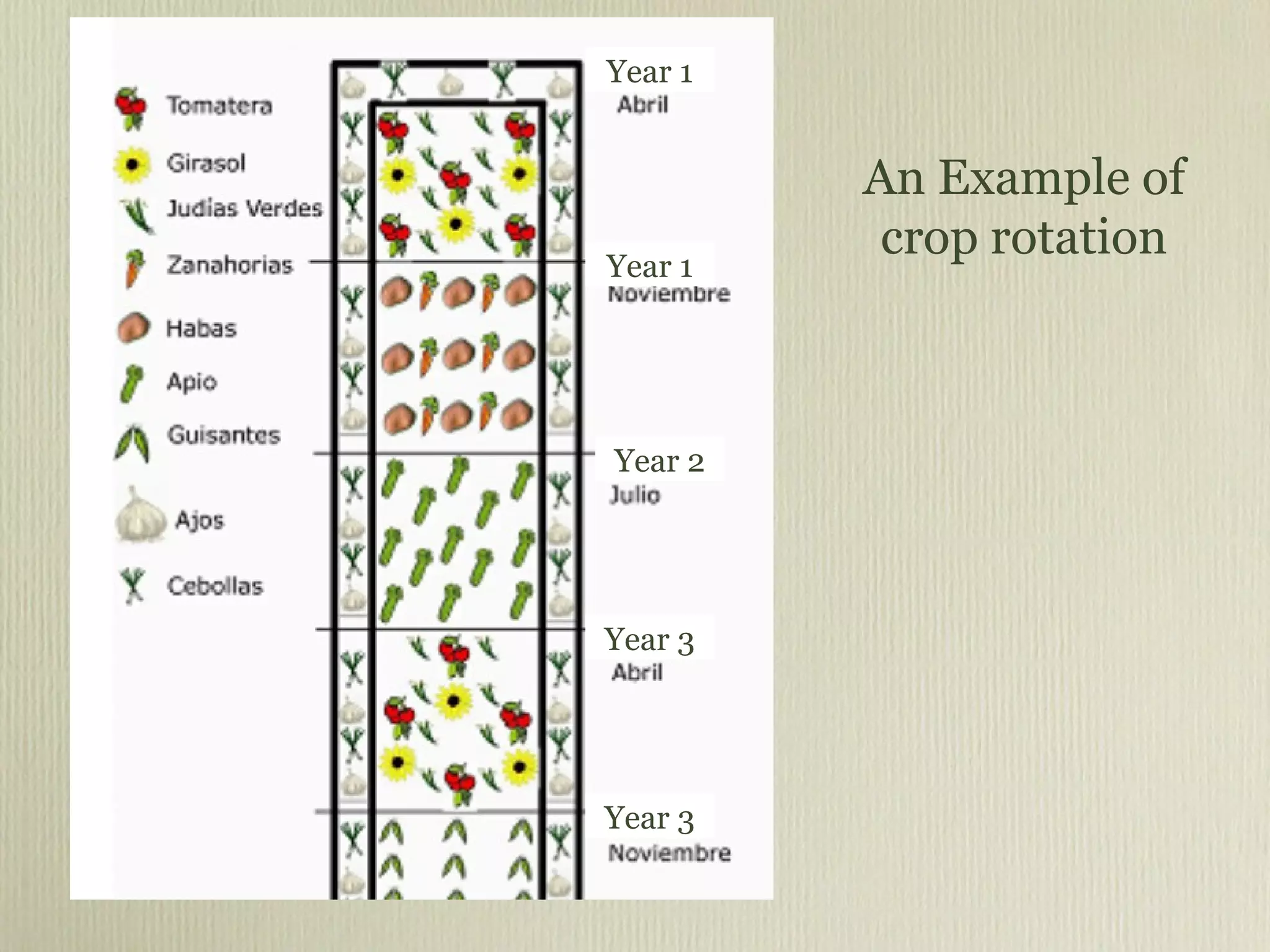 An Example of crop rotation Year 1 Year 1 Year 2 Year 3 Year 3 