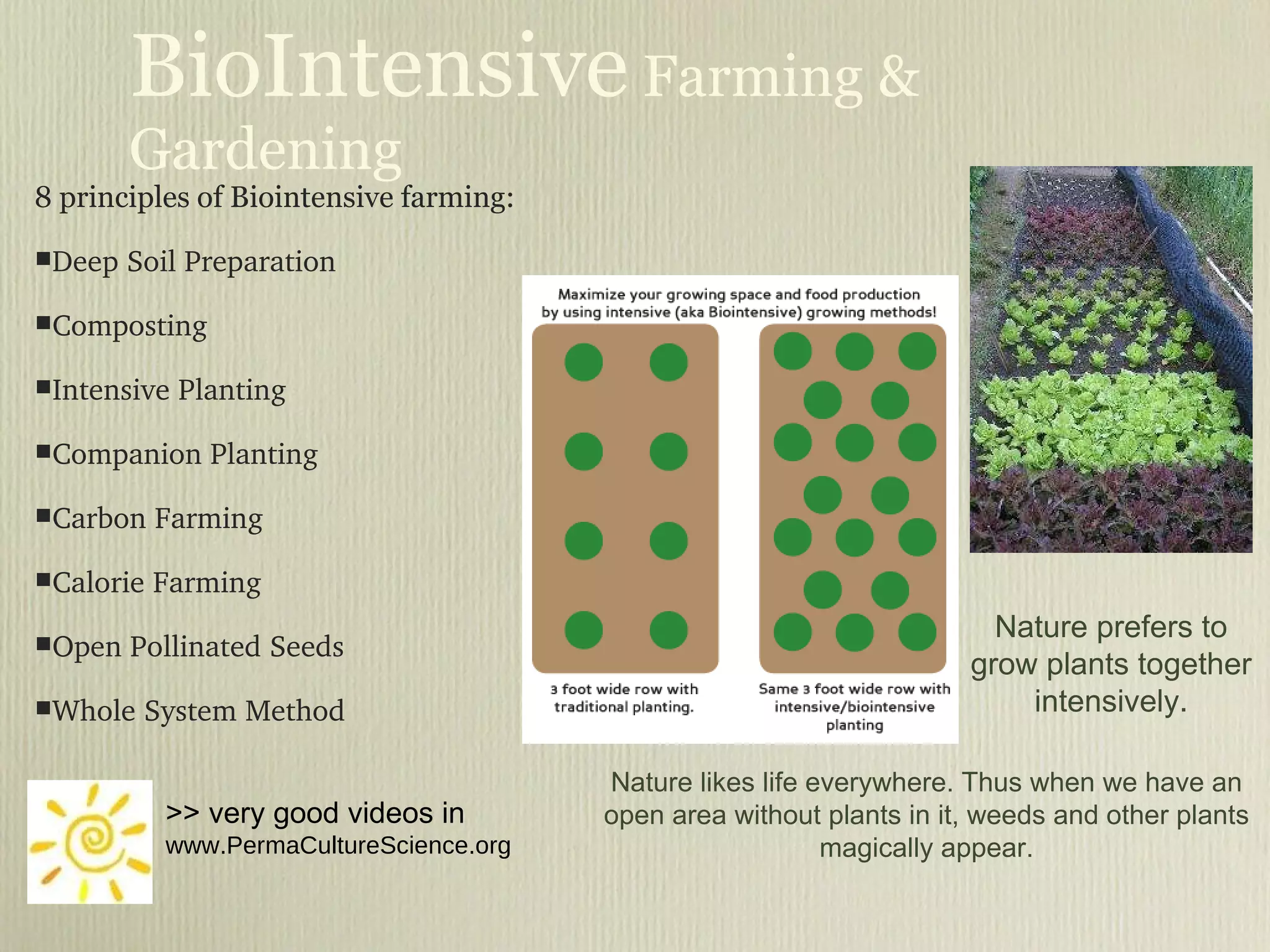 BioIntensive  Farming & Gardening 8 principles of Biointensive farming: Deep Soil Preparation Composting Intensive Planting Companion Planting Carbon Farming Calorie Farming Open Pollinated Seeds Whole System Method Nature prefers to grow plants together intensively. Nature likes life everywhere. Thus when we have an open area without plants in it, weeds and other plants magically appear. >> very good videos in  www.PermaCultureScience.org 