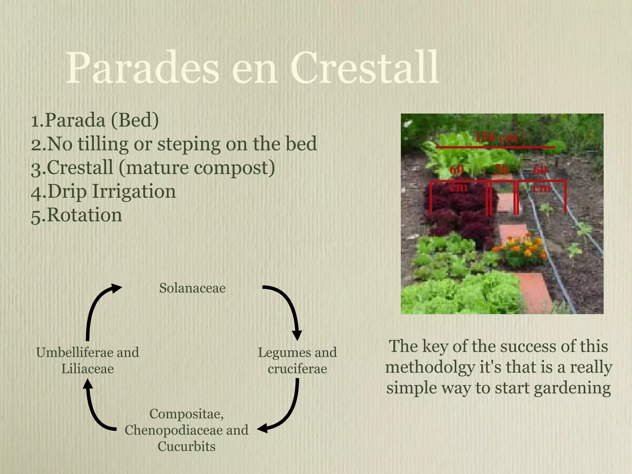 Parades en Crestall Parada (Bed) No tilling or steping on the bed Crestall (mature compost) Drip Irrigation Rotation Solanaceae Compositae, Chenopodiaceae and Cucurbits Umbelliferae and Liliaceae Legumes and cruciferae The key of the success of this methodolgy it's that is a really simple way to start gardening 