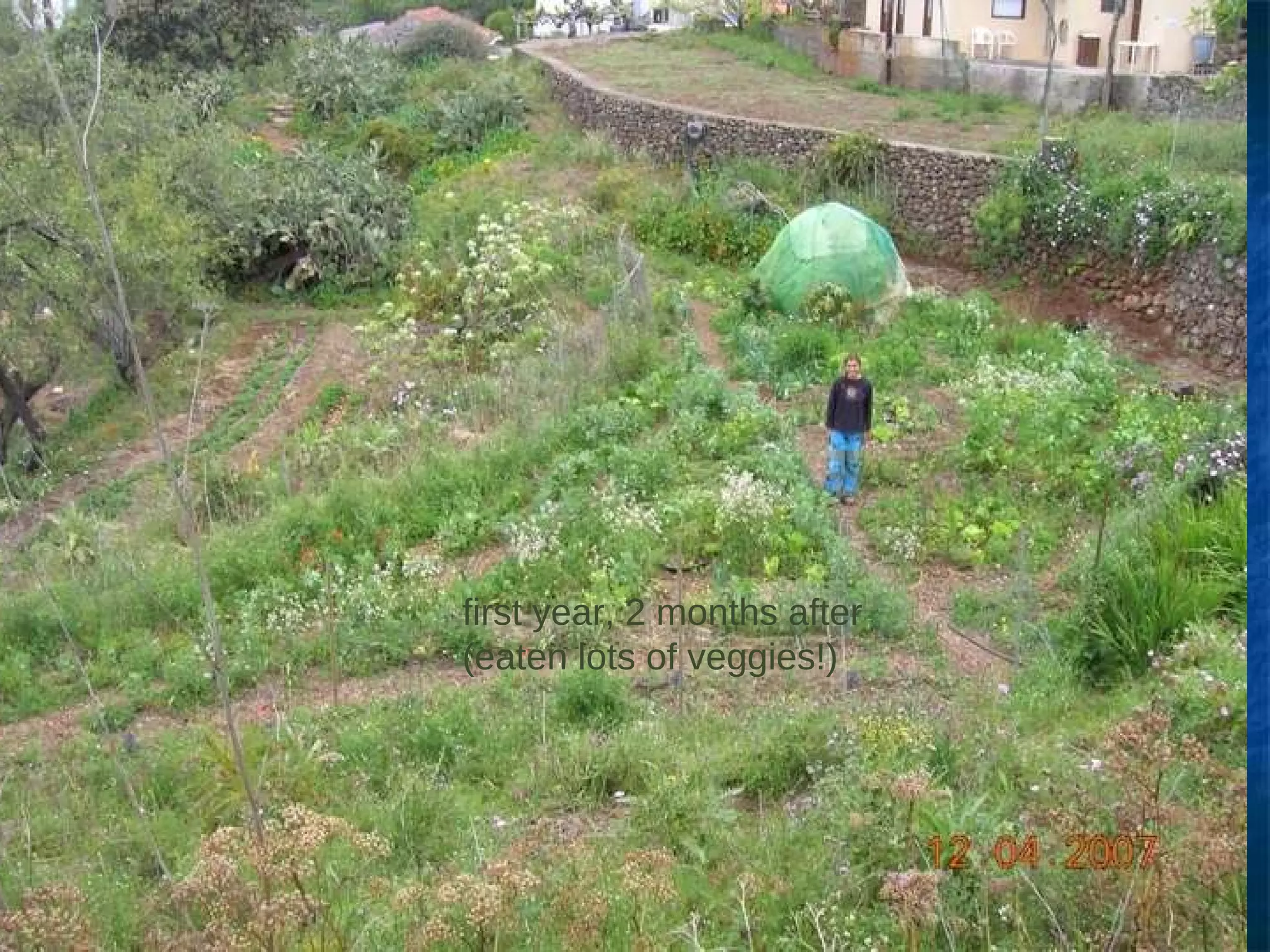 first year, 2 months after (eaten lots of veggies!) 