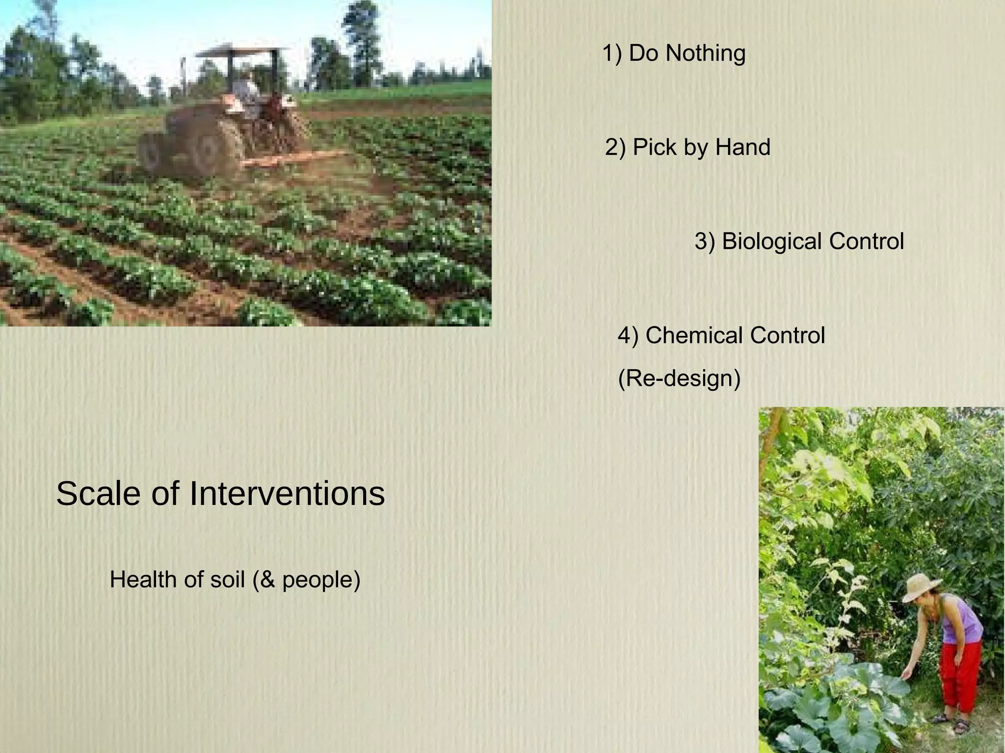 Scale of Interventions 1) Do Nothing 2) Pick by Hand 3) Biological Control 4) Chemical Control (Re-design) Health of soil (& people) 