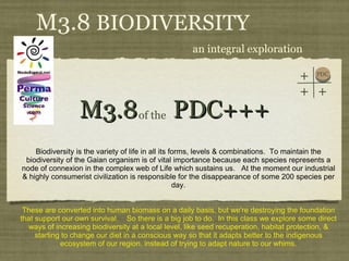 M3.8  PDC+++ ,[object Object],[object Object],[object Object],of the M3.8  BIODIVERSITY an integral exploration PDC + + + 