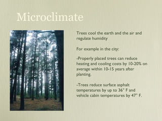 PDC+++ Module 3 Class 9 Trees I | PPT | Gardening | Home & Garden