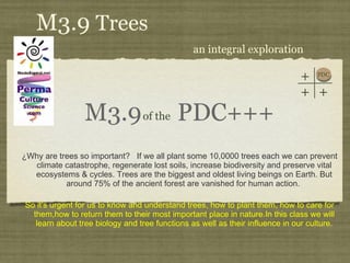 M3.9  PDC+++ ,[object Object],[object Object],of the M3.9  Trees an integral exploration PDC + + + 