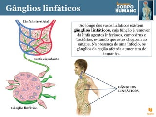 Gânglios linfáticos
Ao longo dos vasos linfáticos existem
gânglios linfáticos, cuja função é remover
da linfa agentes infeciosos, como vírus e
bactérias, evitando que estes cheguem ao
sangue. Na presença de uma infeção, os
gânglios da região afetada aumentam de
tamanho.
GÂNGLIOS
LINFÁTICOS
Linfa circulante
Linfa intersticial
Gânglio linfático
 