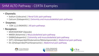 Compazine Pathway M3-PPT-ALTOs-Nurse-Pharmacist-Training.pptx