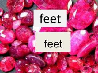 feet
feet
 