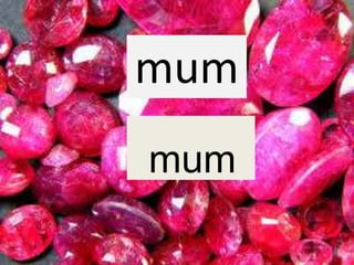 mum
mum
 