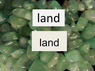 land
land
 