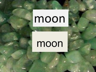 moon
moon
 