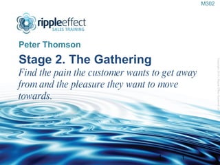 Stage 2. The Gathering Find the pain the customer wants to get away from and the pleasure they want to move towards. ,[object Object],Copyright 2010 | Ripple Effect Systems Ltd  1 M302 