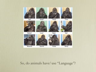 So, do animals have/ use “Language”?
 