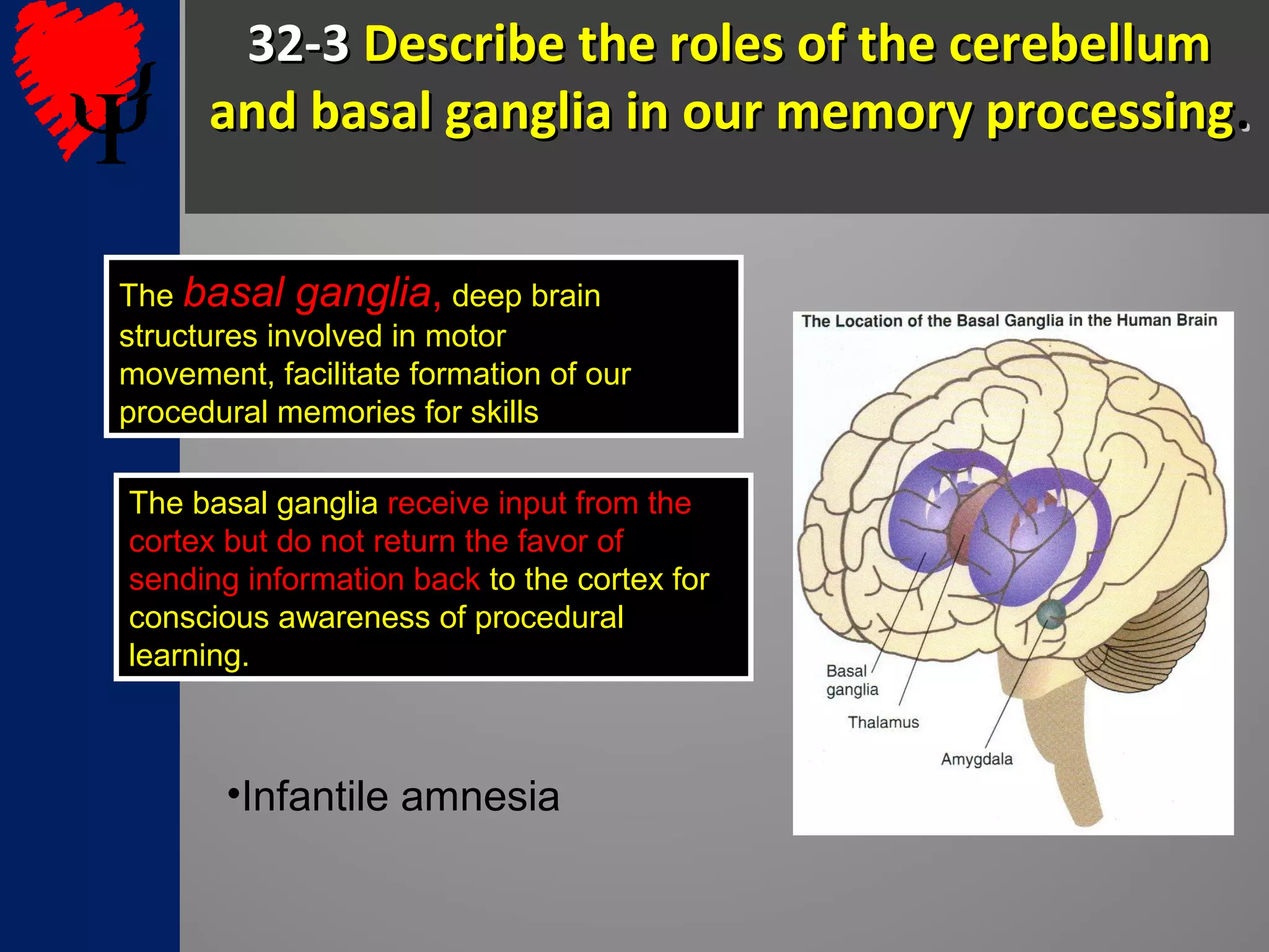 32-332-3 Describe the roles of the cerebellumDescribe the roles of the cerebellum
and basal ganglia in our memory processingand basal ganglia in our memory processing..
•Infantile amnesia
The basal ganglia, deep brain
structures involved in motor
movement, facilitate formation of our
procedural memories for skills
The basal ganglia receive input from the
cortex but do not return the favor of
sending information back to the cortex for
conscious awareness of procedural
learning.
 