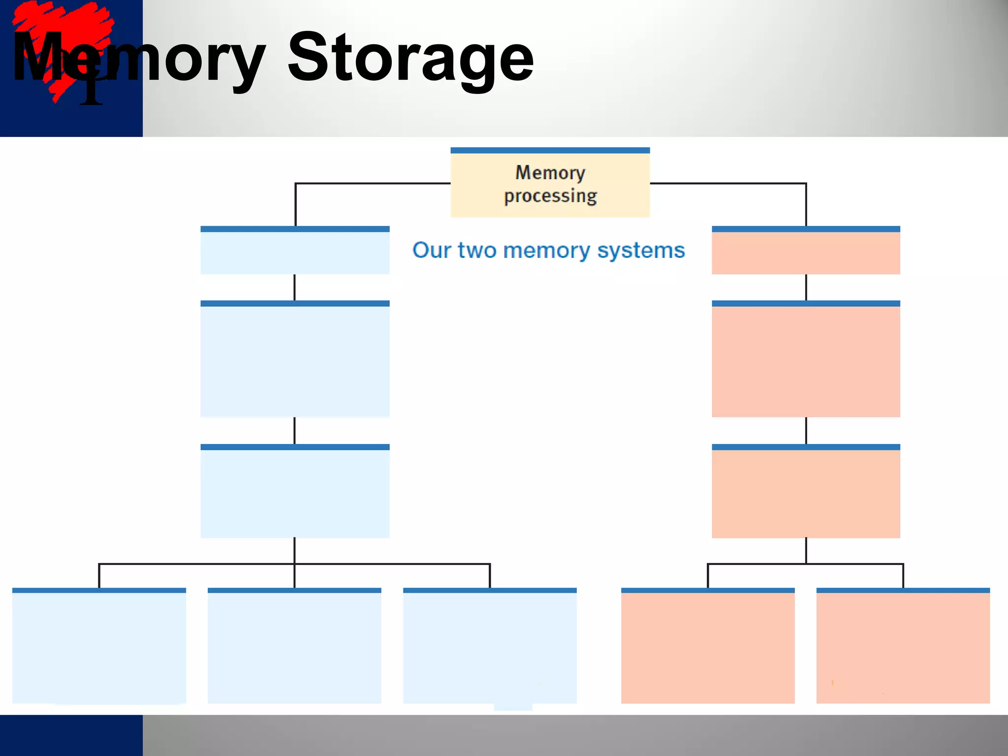 Memory Storage
 