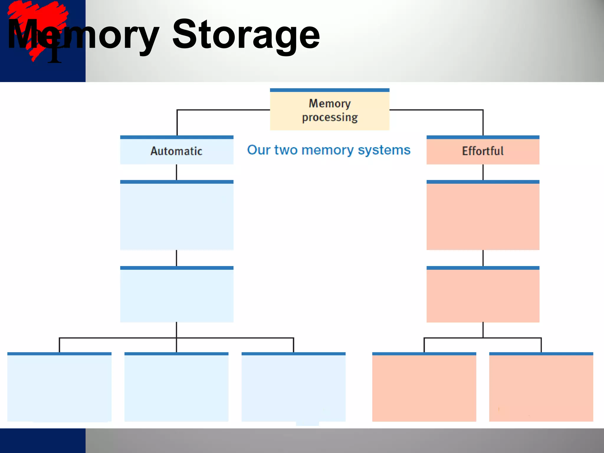 Memory Storage
 