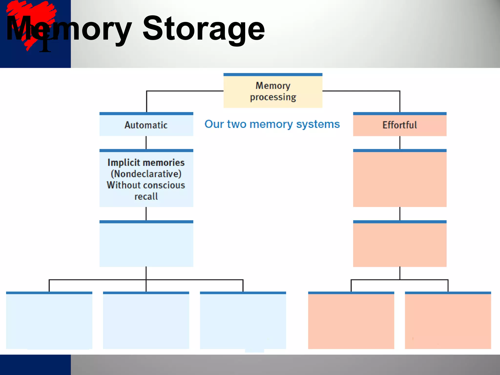 Memory Storage
 