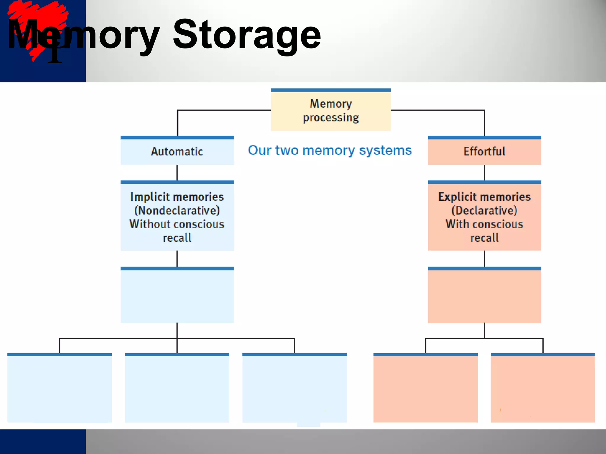 Memory Storage
 