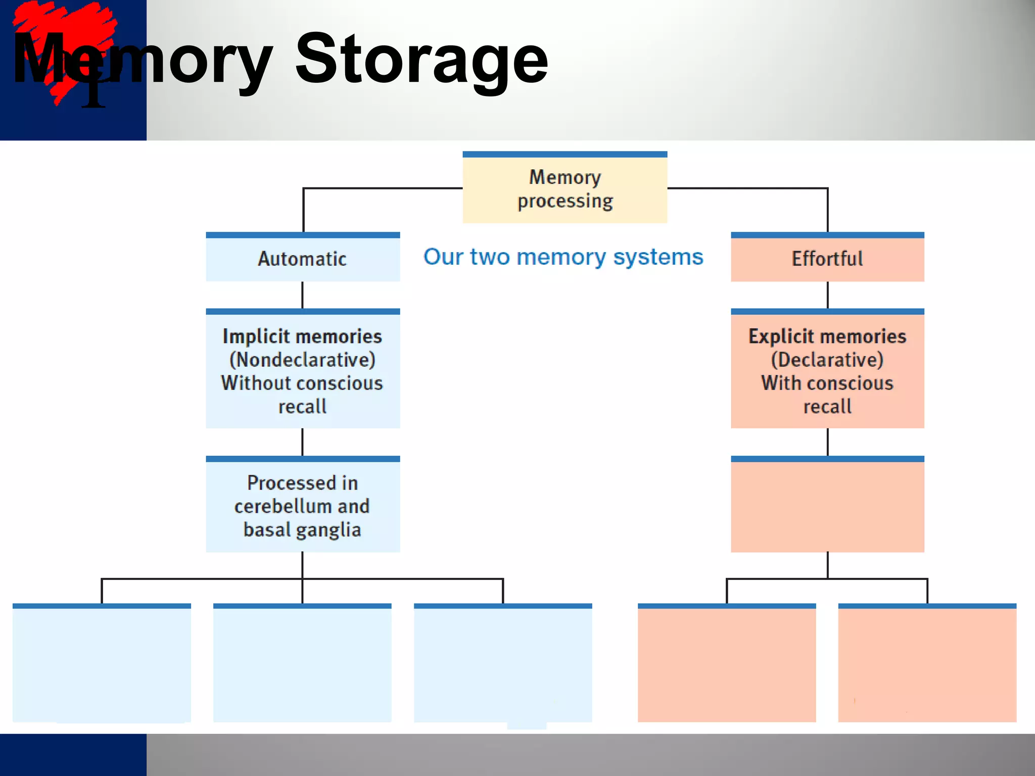 Memory Storage
 