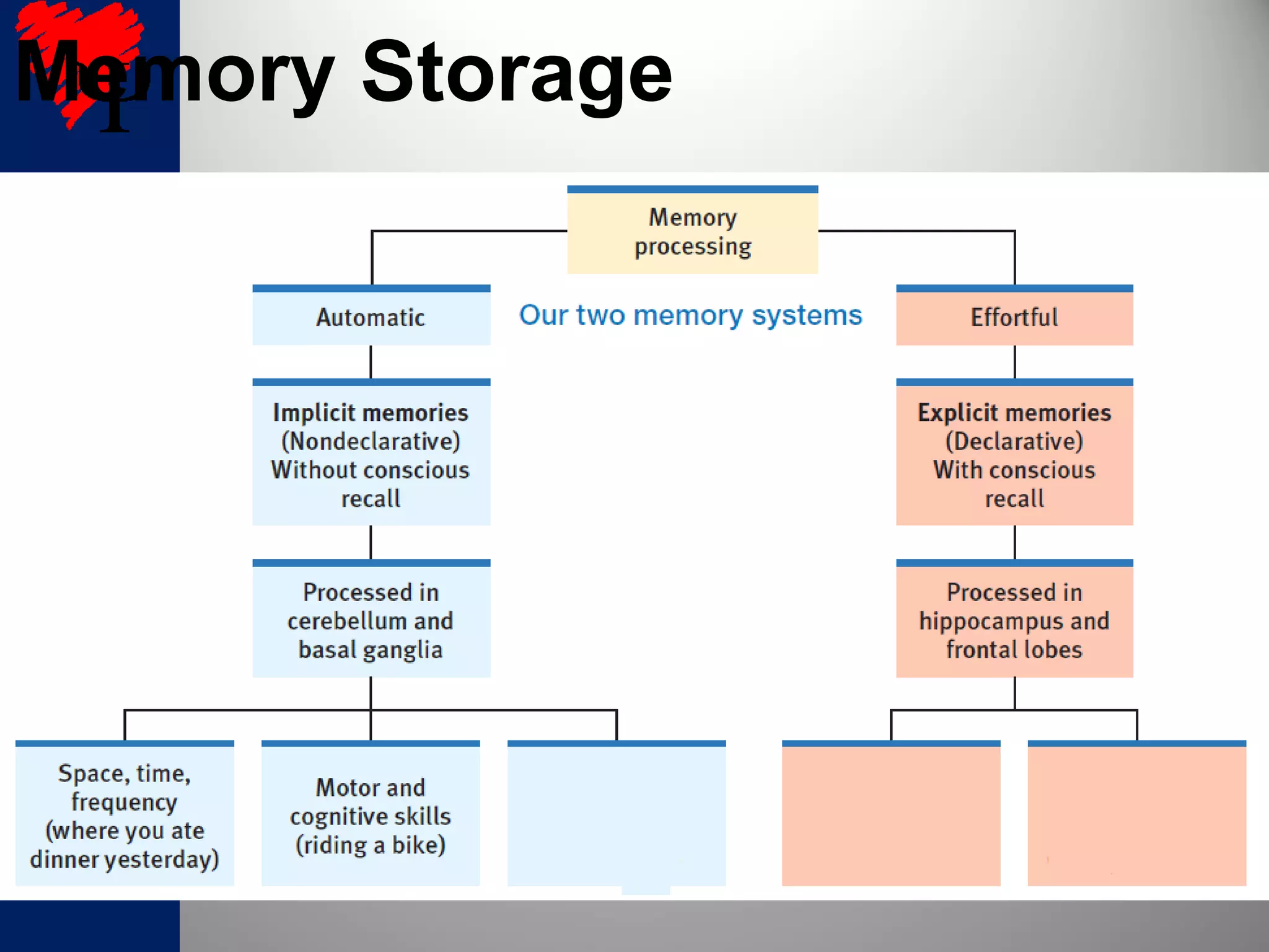 Memory Storage
 