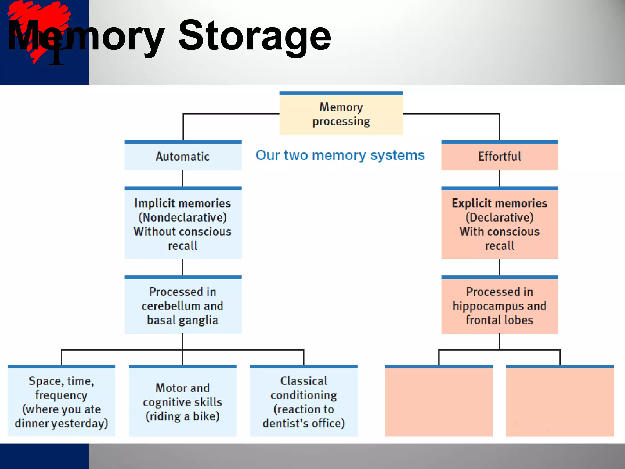 Memory Storage
 