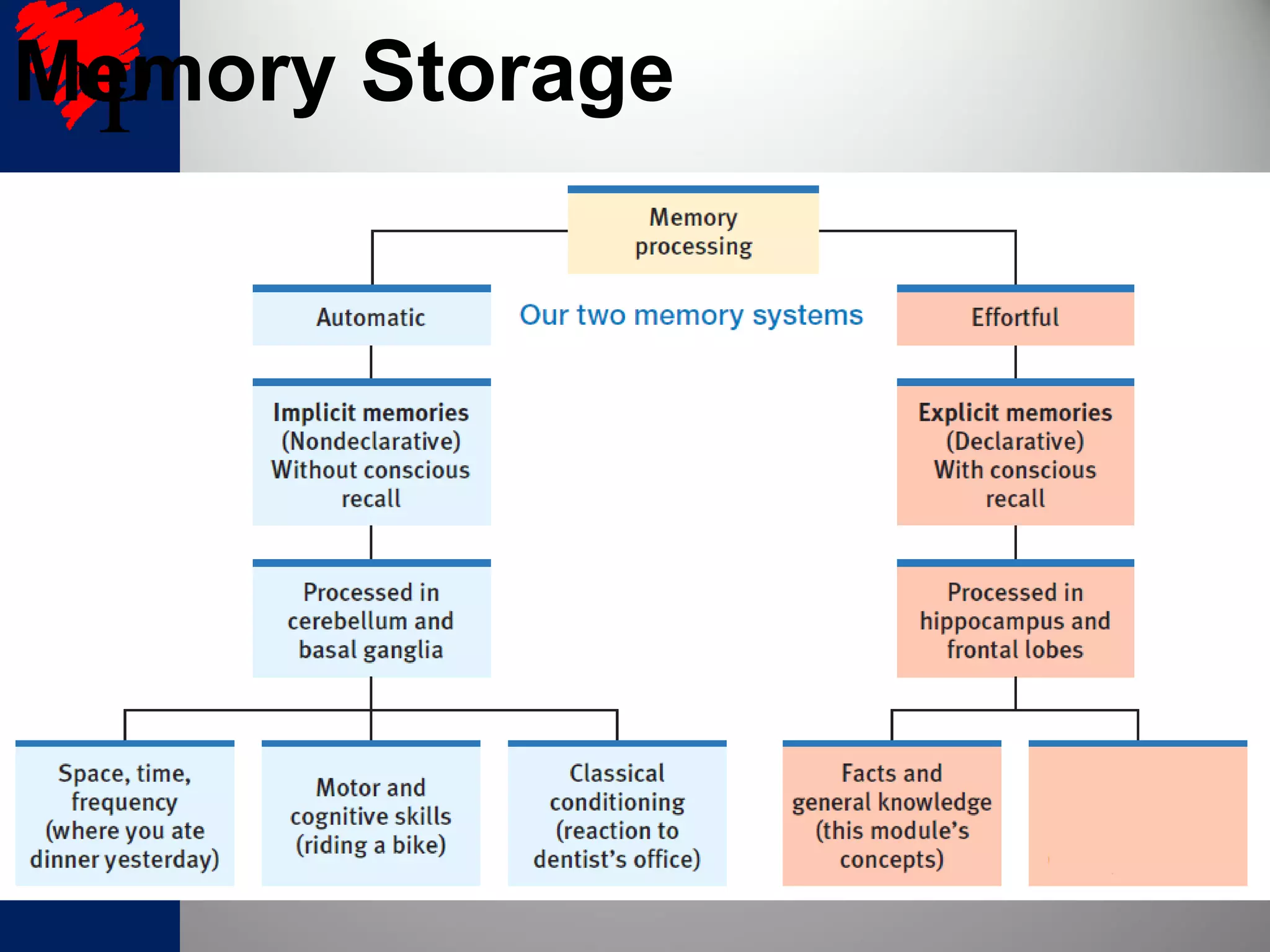 Memory Storage
 