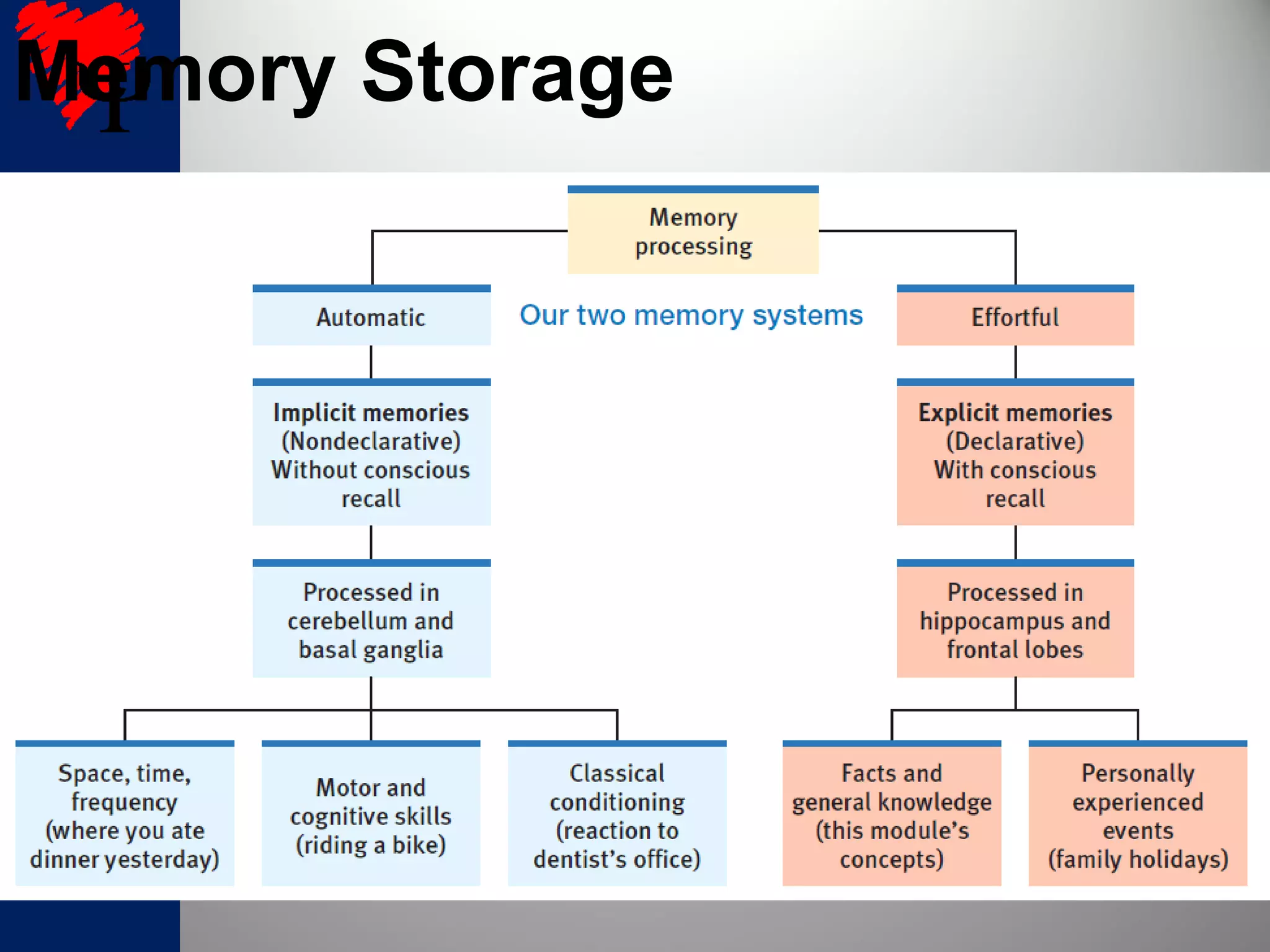 Memory Storage
 
