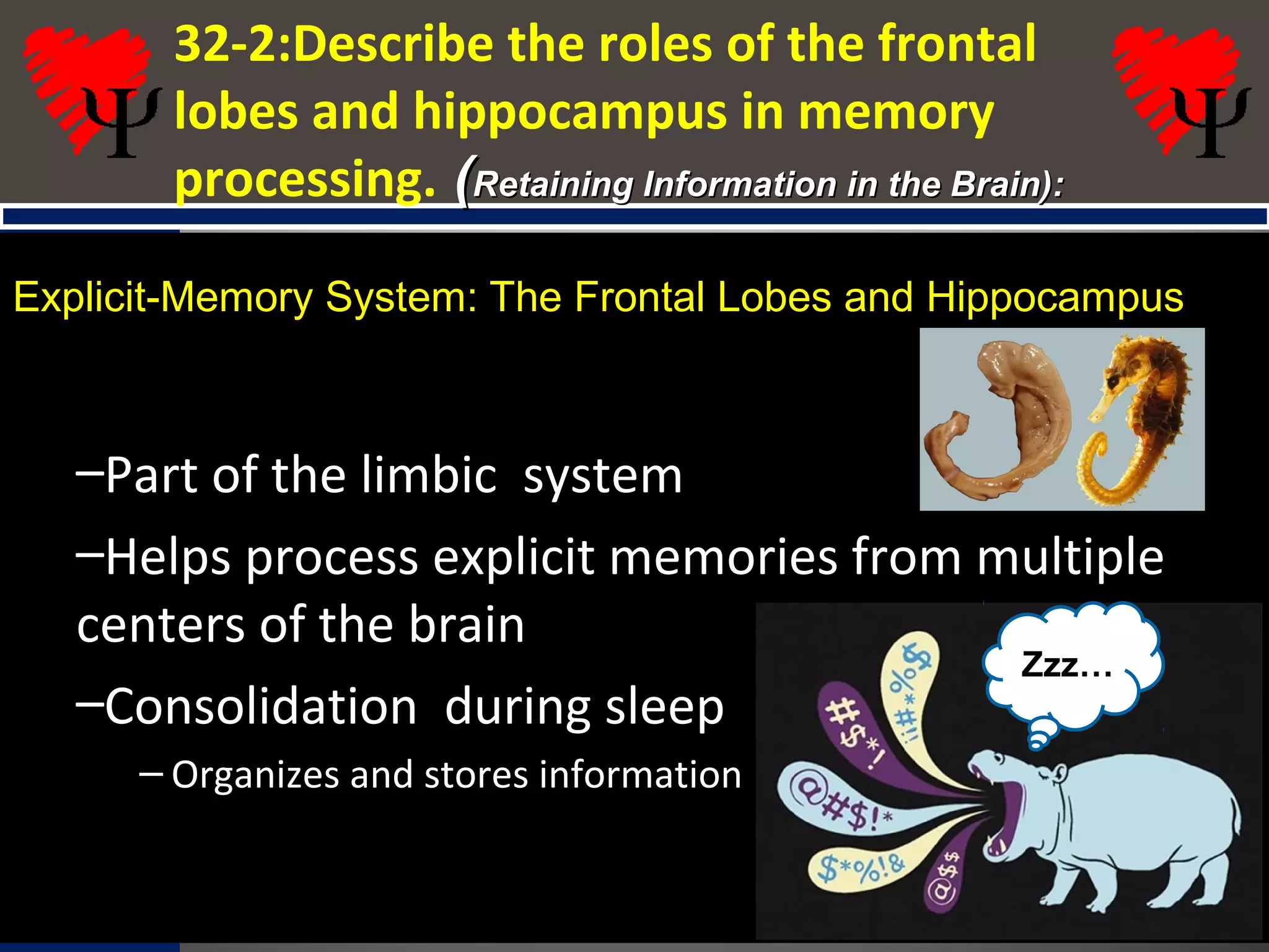 32-2:Describe the roles of the frontal
lobes and hippocampus in memory
processing. ((Retaining Information in the Brain):Retaining Information in the Brain):
Explicit-Memory System: The Frontal Lobes and Hippocampus
•Hippocampus
–Part of the limbic system
–Helps process explicit memories from multiple
centers of the brain
–Consolidation during sleep
– Organizes and stores information
Zzz…
 