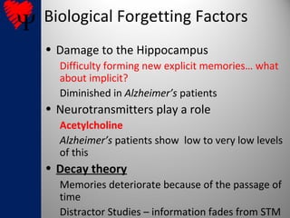 M32 physiology of memory | PPT