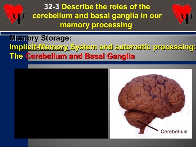 m32 physiology of memory the basal ganglia help students form implicit memories of