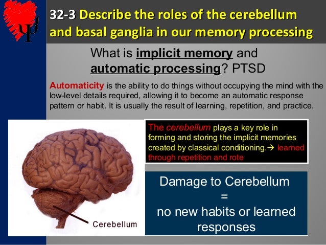 m32 physiology of memory the basal ganglia help students form implicit memories of