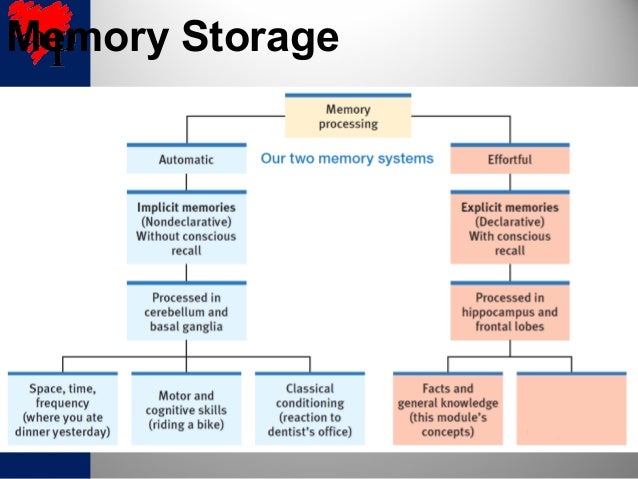 m32 physiology of memory the basal ganglia help students form implicit memories of