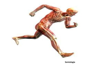 Semiologia
 