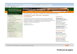 PrintScreen da página
 