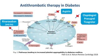 Antithrombotic therapy in Diabetes
Patti G et al. Nature Reviews Cardiology 2018
Aspirin
Clopidogrel
Prasugrel
TicagrelorRivaroxaban
(anti-Xa)
 