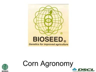 Corn Agronomy
 