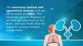 M3_Digestion Interaction with other Organ Systems.pptx
