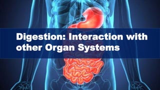 Digestion: Interaction with
other Organ Systems
 