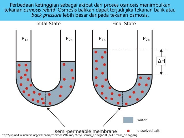 M3 kb2 fluida dan cairan tubuh