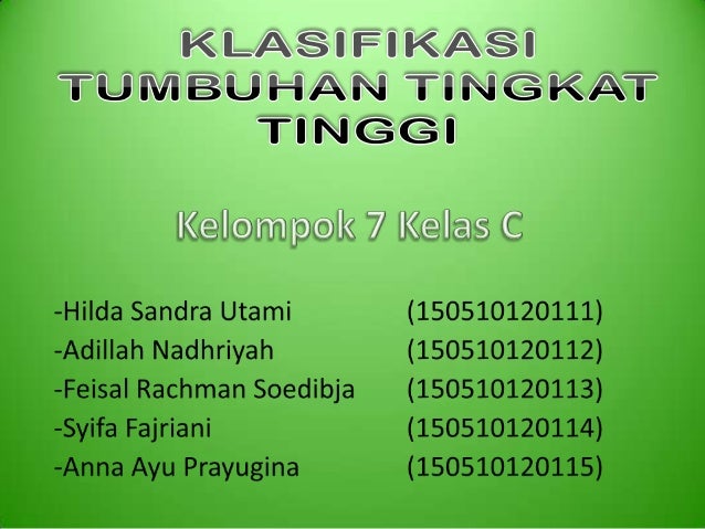 M3 Kelompok 7 Klasifikasi Tumbuhan Tingkat Tinggi