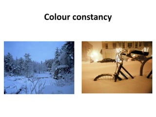 Colour constancy