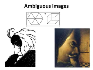 Ambiguous images
A B