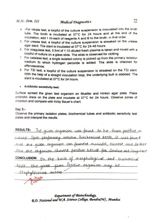 M3-Medical Diagnostics