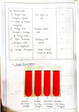 M3-Medical Diagnostics